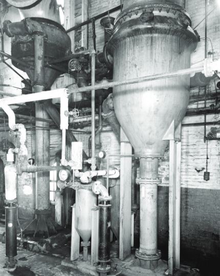 plant 2
