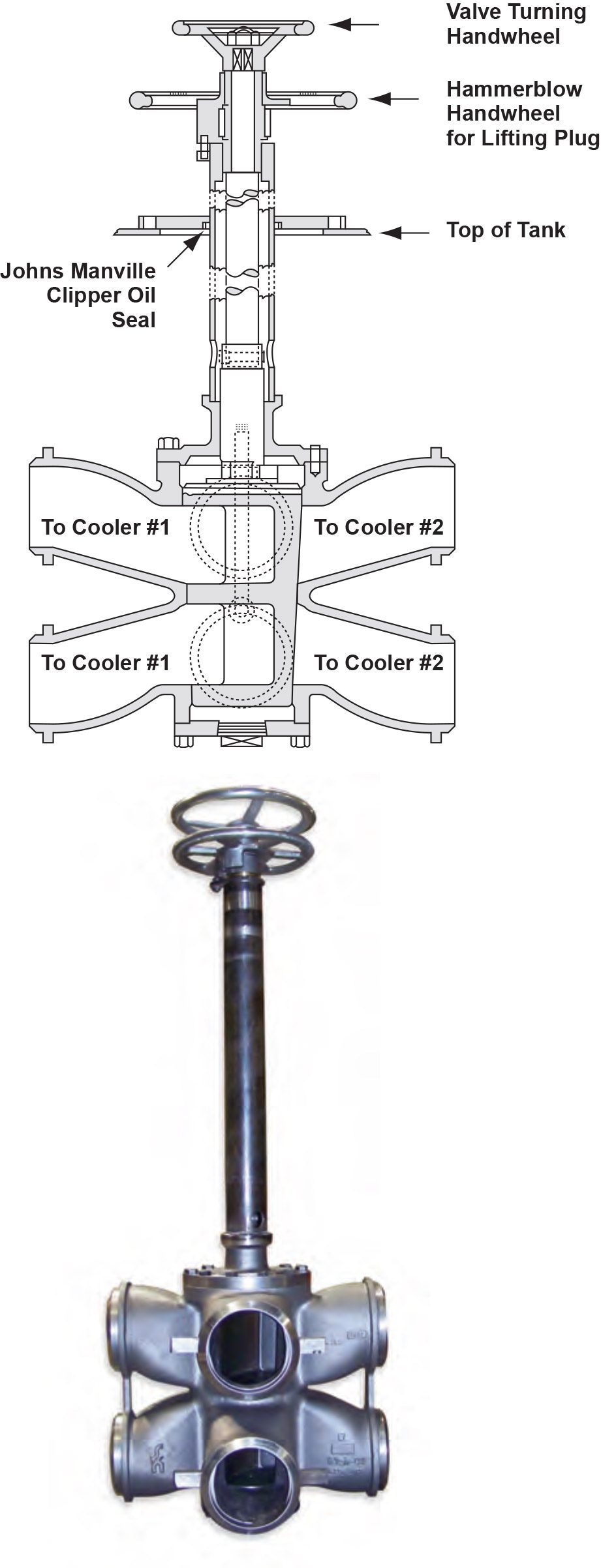 Dual Plug Valves
